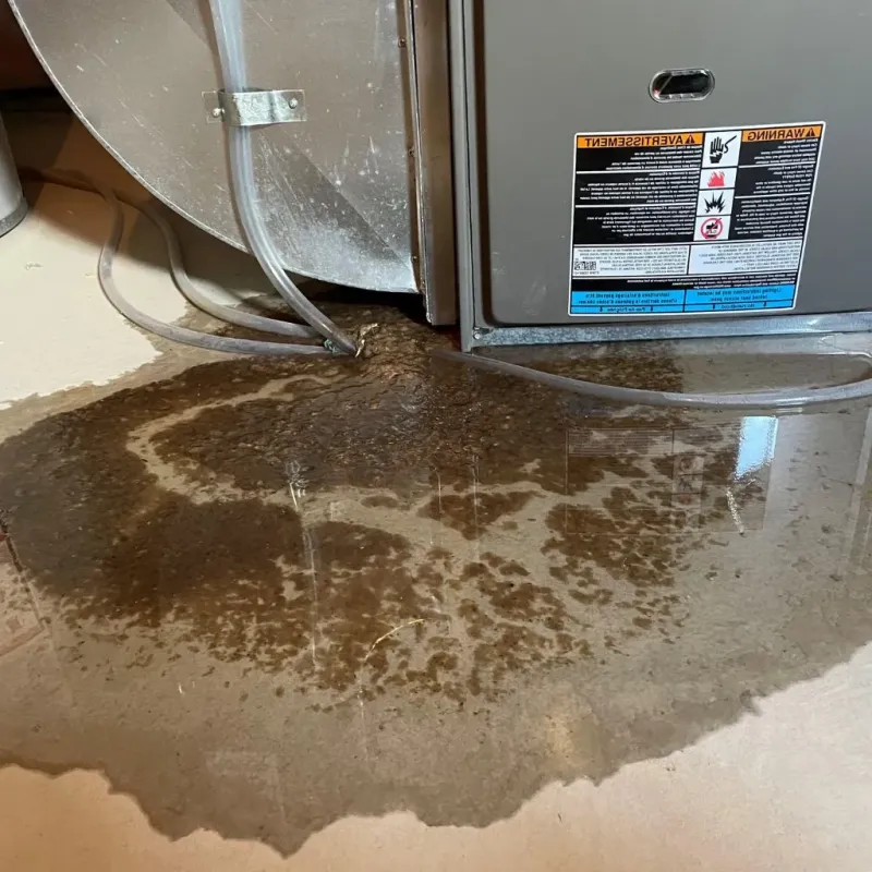 Pipe Burst and Leak Restoration in Lempster, NH